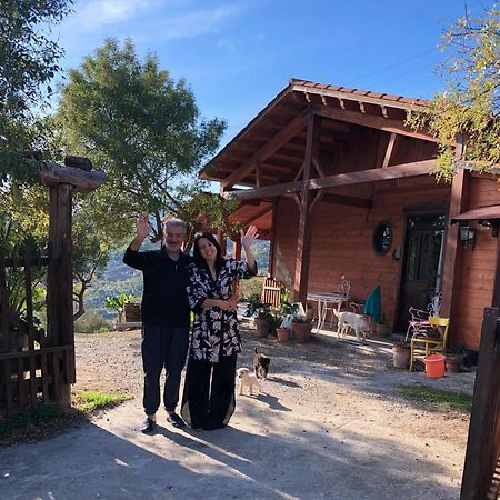 קסטלבונו Room In Casa Castiglia A Woodhouse With Beautiful View Close Madonie Park מראה חיצוני תמונה